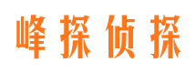 河津私家调查公司